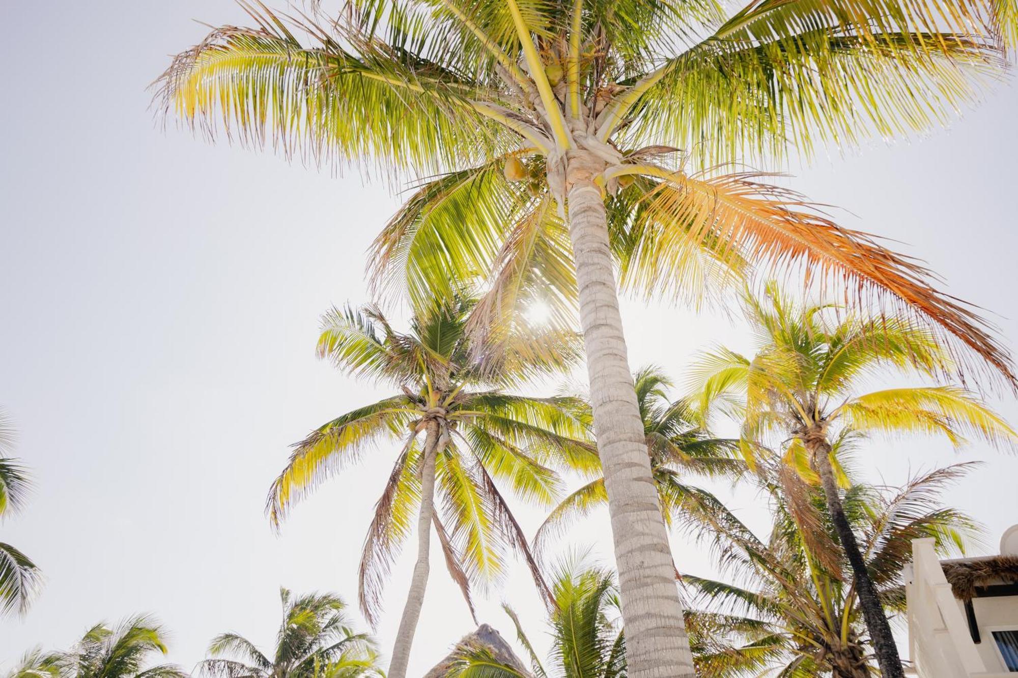 Vr Club Tulum Riviera Hotel ภายนอก รูปภาพ